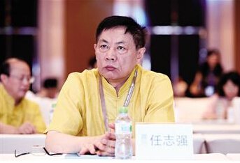 任志强:明年房价上涨是必然的_房产-马鞍山