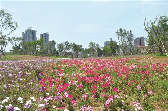 仁寿城市湿地公园:开园一月有余 市民获得良多