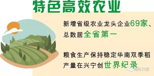 二零二零大埔GDp_大埔笋粄图片