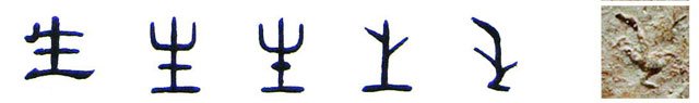 隶书-小篆-金文--甲骨文--骨刻文—骨刻原图 隶书-小篆-金文--甲骨文--骨刻文—骨刻原图