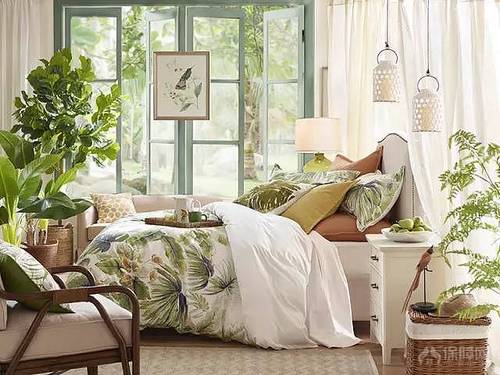 室内植物搭配指南 家装增色必备法宝!
