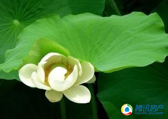 御湖城健康生活篇 4大注意夏季养生事半功倍_频道-南昌_腾讯网