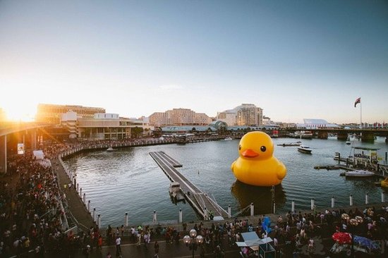 香港大黄鸭+现身江南大学为学校活动做宣传