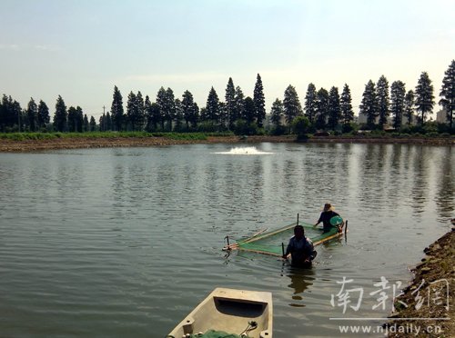 高淳有多少人口_高淳老街图片(2)