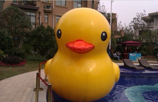 看大黄鸭去香港?如东碧桂园圆你童真梦_频道