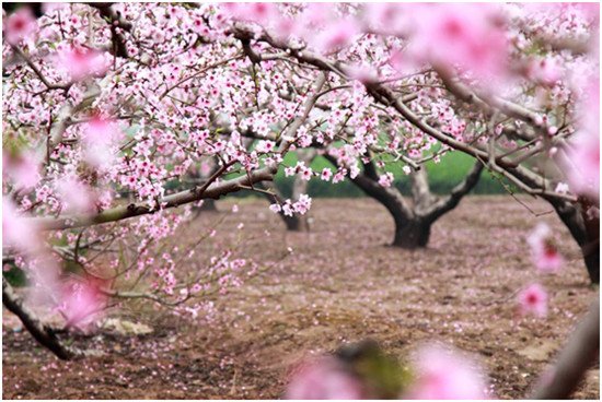 邂逅品质生活 恒大山水城小高层\/高层应市加推