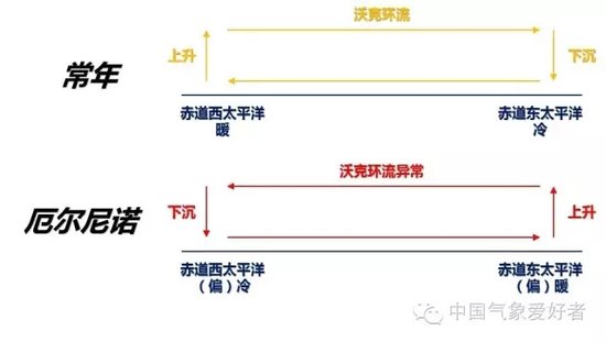 NO.1台风尼伯特最新动态!
