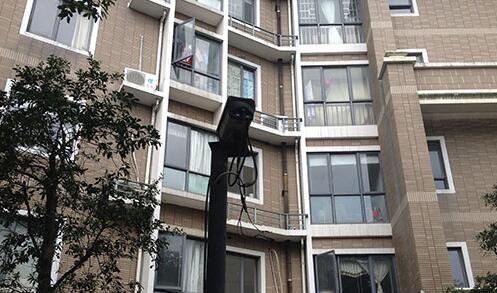 东湖花园3天内十几户人家接连被盗