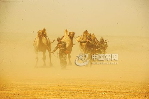 组图：新疆官兵巡逻大漠戈壁 用铁锹煎鸡蛋