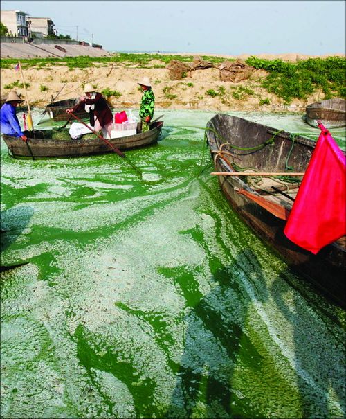 巢湖面积