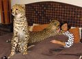 �ϷǸ�Ů��רְ�����ͻ��Ա��������衱[��ͼ]