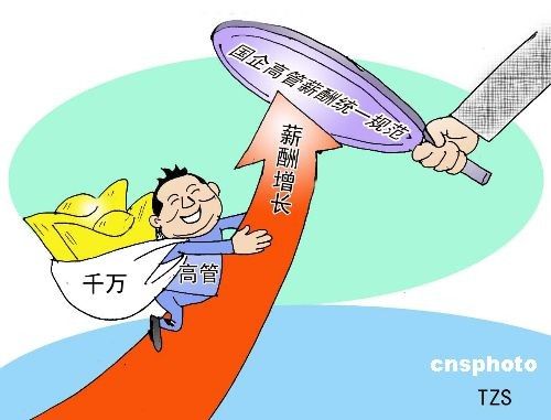 央企和国企的区别_国企高管收入(3)