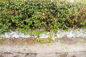 落地地面的冰雹