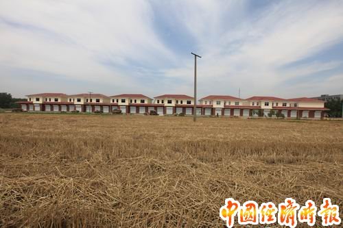 江苏东海百亩耕地建别墅 政府称为新农村建设