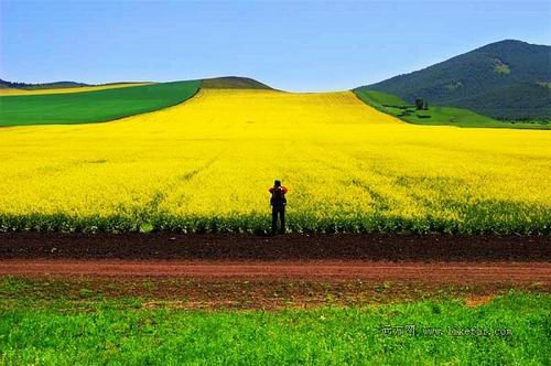 放逐在呼伦贝尔大草原 呼伦贝尔自助游攻略_旅