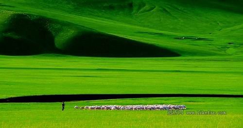 放逐在呼伦贝尔大草原 呼伦贝尔自助游攻略_旅游攻略