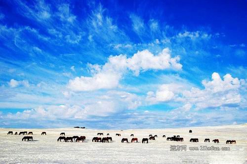 放逐在呼伦贝尔大草原 呼伦贝尔自助游攻略_旅