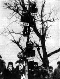 1976年10月6日 粉碎“四人帮”