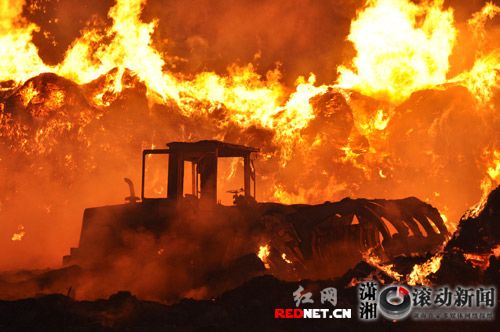 ����������ֽ����«έ�Ѷ��Ż�