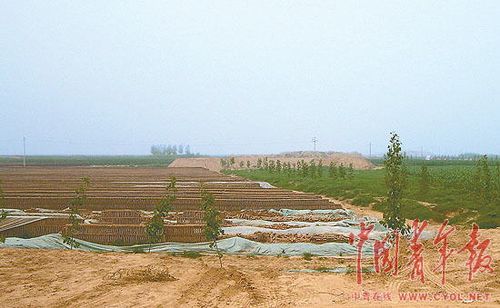 河南原阳黑砖窑截断防汛工程 22万人面临洪灾