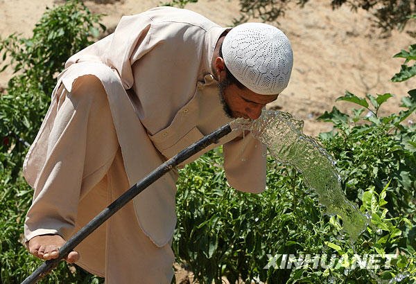 �c���g�[��һ��