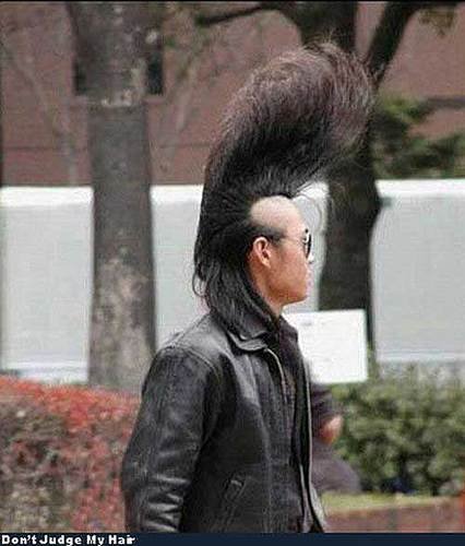 组图:哥玩的不是发型是寂寞_奇趣图片_新闻_腾