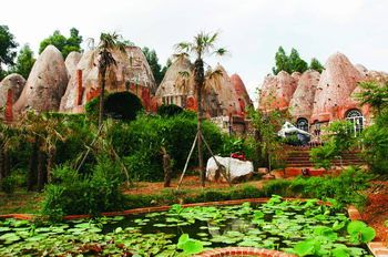 �M�D���֘��L(zh��ng)�@�Ӷ����� ������ֳ���