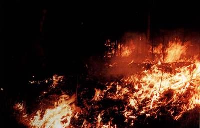 1987年:大兴安岭特大森林火灾