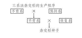 什么是三系杂交稻