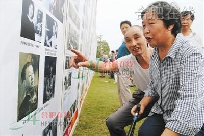 ·杏花昨日别样红_安徽_新闻_腾讯网