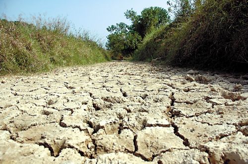 广东大旱致最大水库汤溪水库水位降11.44米_