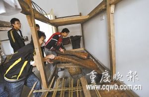 政府采购床一睡就垮 上百学生寒夜打地铺(图)
