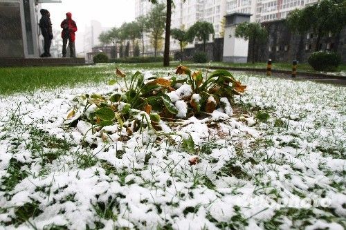 图：北京迎来今年入冬首场降雪
