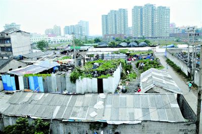 在温州市有很多专门为民工提供的旅馆，非常破旧，与远处的高楼大厦形成了鲜明的对比。 本报记者孙洪磊摄