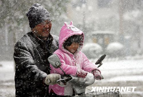 11月11日，骑车出行的运城市民冒雪艰难行进。新华社发（薛俊 摄）