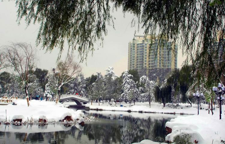 雪后长安公园雪景，韦佳摄