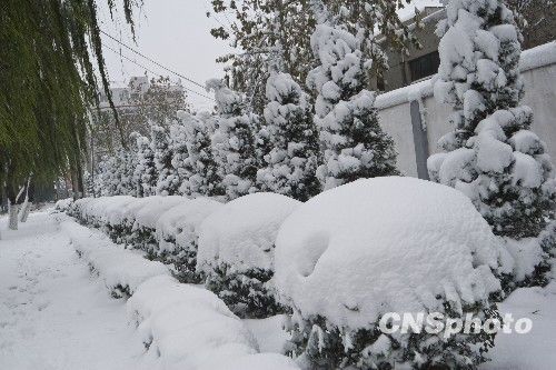 中央气象台发暴雪大雾预报 局地能见度不足200米