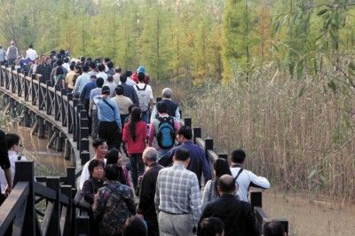 上海制订多项措施缓解崇明旅游热负面影响_各