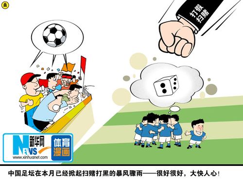 足协副主席南勇称假球毒瘤不除中国足球无希望