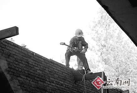 浅谈阳光玫瑰_浅谈农民收入现状7