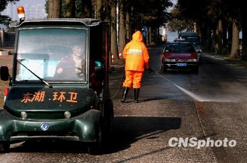 武汉东湖摇蚊图片