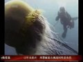 ����ˮĸ�����ձ�����
