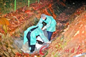 重症甲流儿被弃尸水沟 疑父母无钱治被迫出院