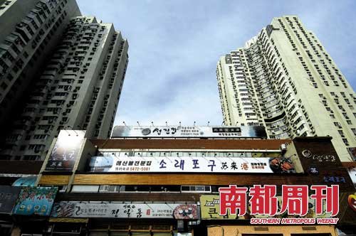 十年望京--韩国人中国梦碎