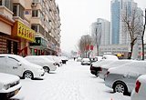 �����ӭ��2010��ڶ���ѩ