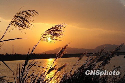 推进海南国际旅游岛发展 逐步形成软件产业基地