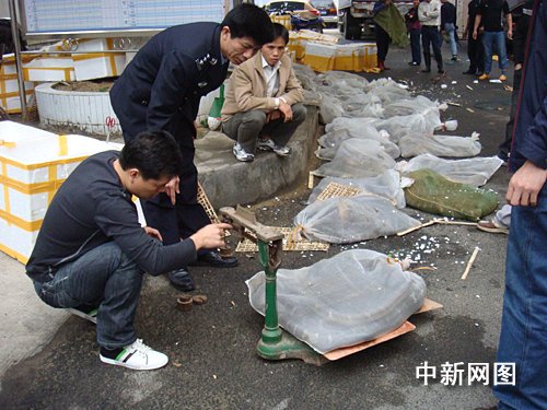 广西东兴警方查获一宗特大野生动物走私案