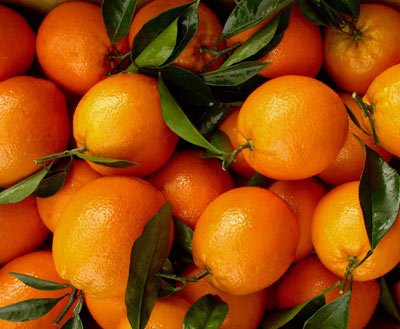 农产品市场年度调查:赣南脐橙别样红