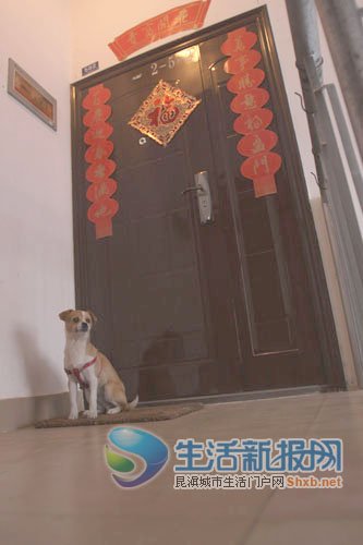 云南临沧电台台长夫妇棒杀精神病儿子(图)