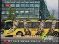视频：绝对震撼 “巨蟒”缠绕车身窒息巴士